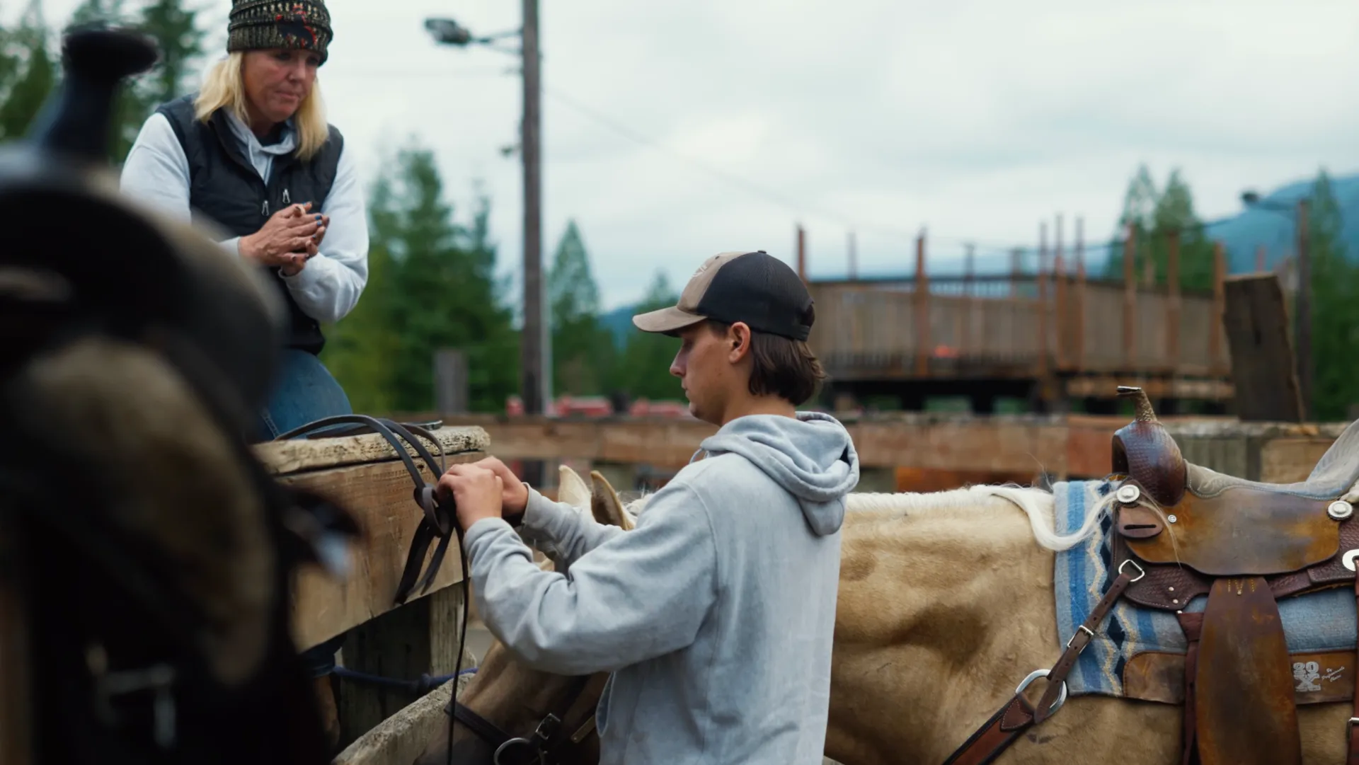 Hands gently brushing a horse's mane in soft natural light