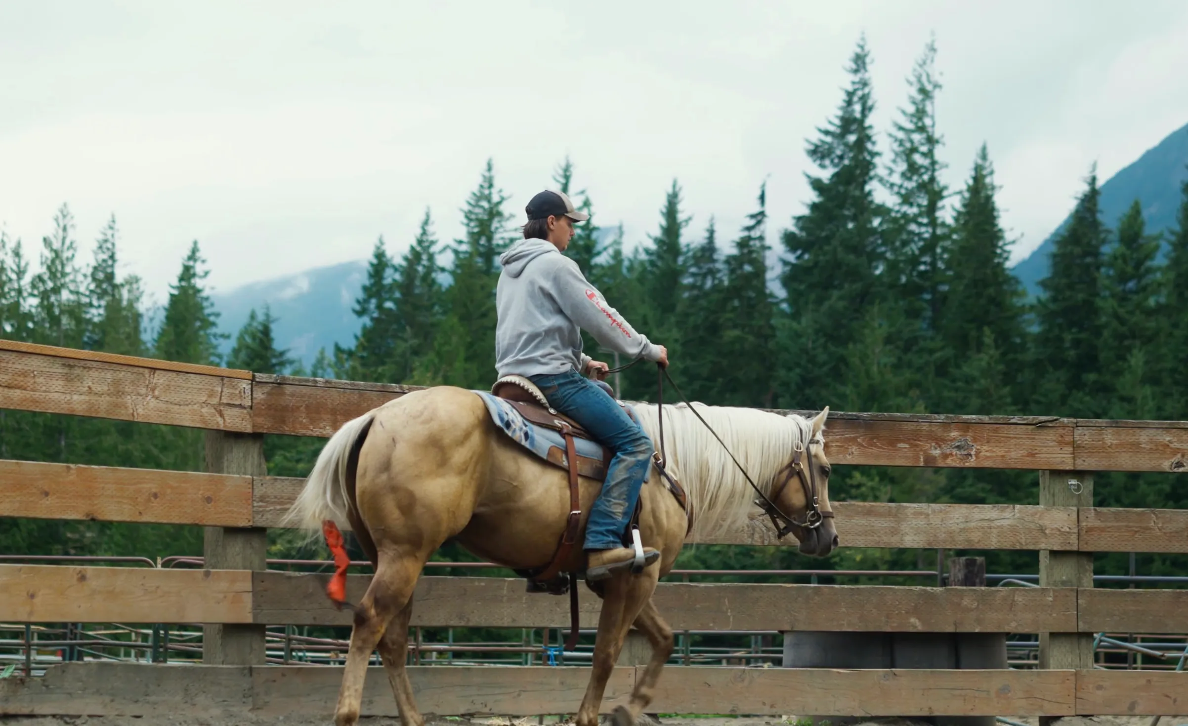 A resident riding a palomino horse in the arena, evergreens and mountains behind