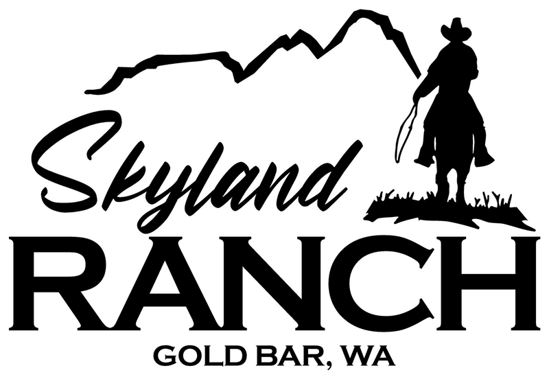 Skyland Ranch — men's drug and alcohol therapeutic residence program